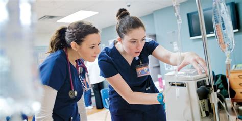 uta online nursing second degree